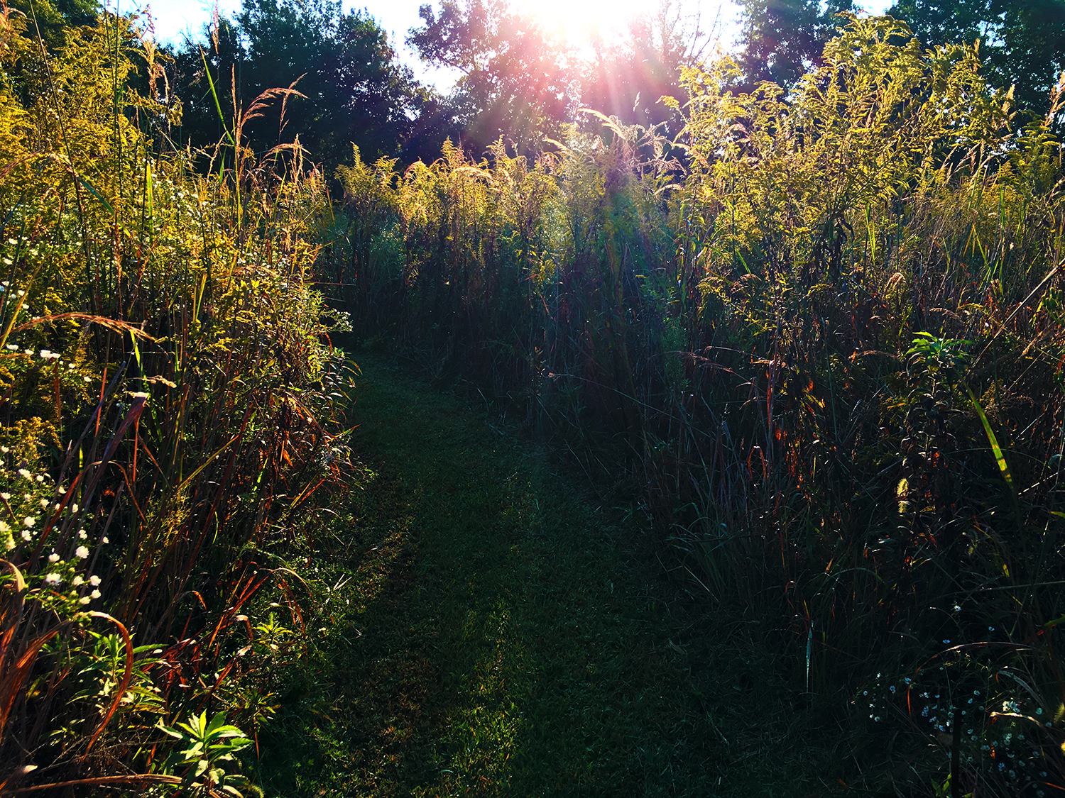 160925_fall_light.jpg