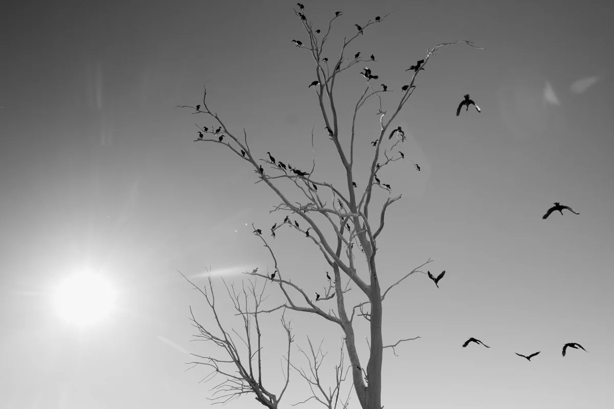 Salton Sea, California 2014