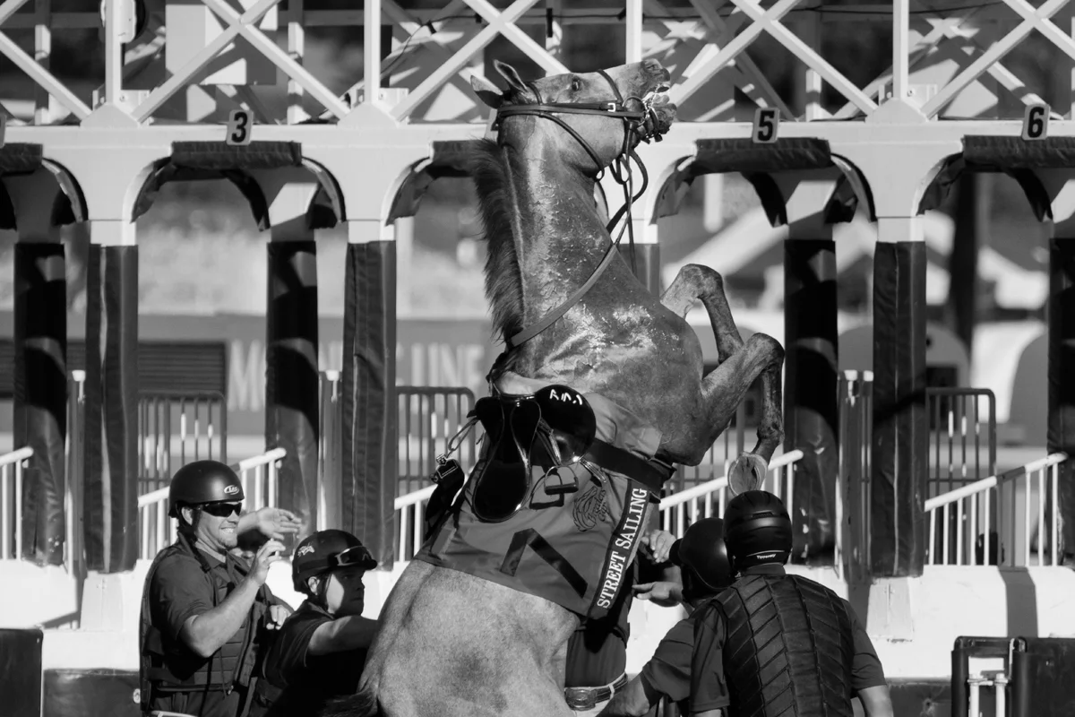 Santa Anita 2013
