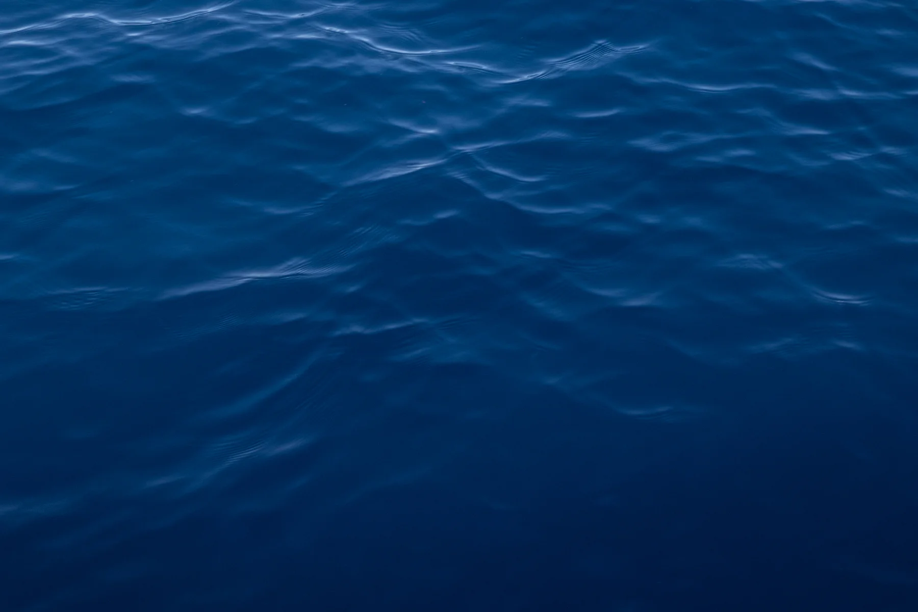 Offshore- Miami, Florida 2019