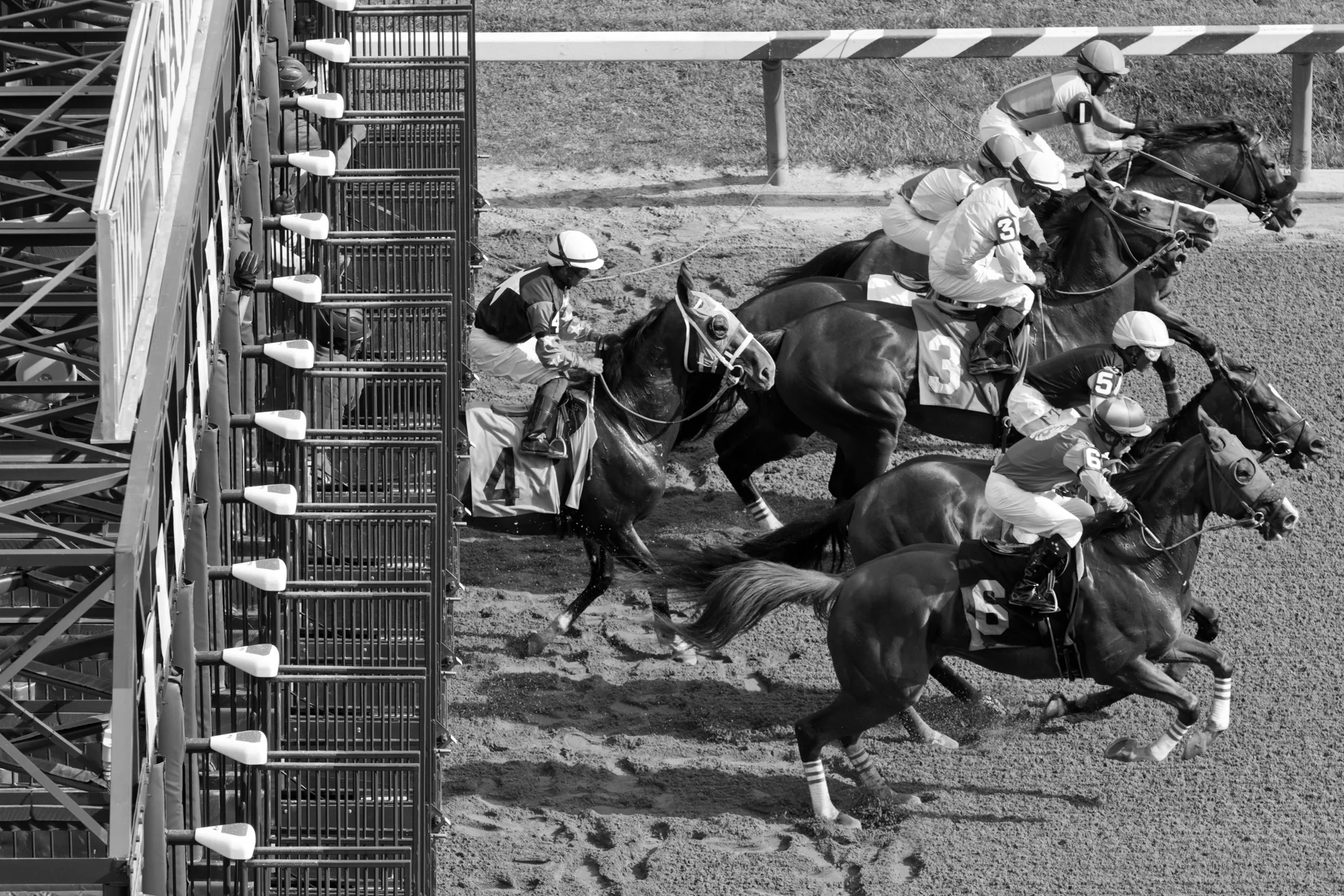 Saratoga 2019