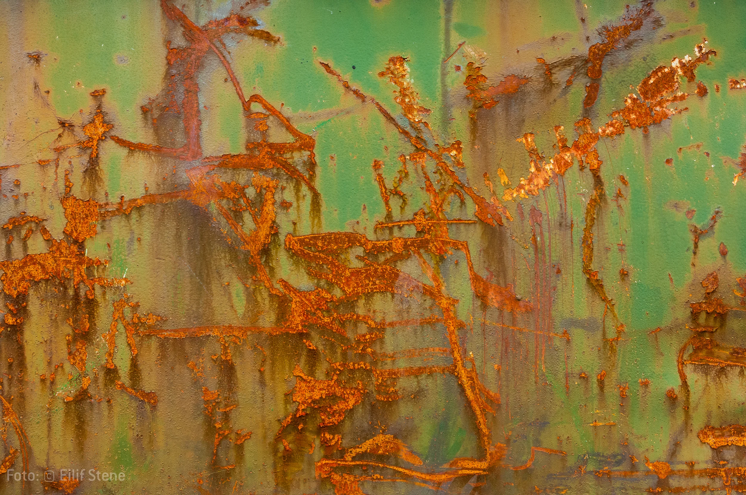 _ESD9825.jpg