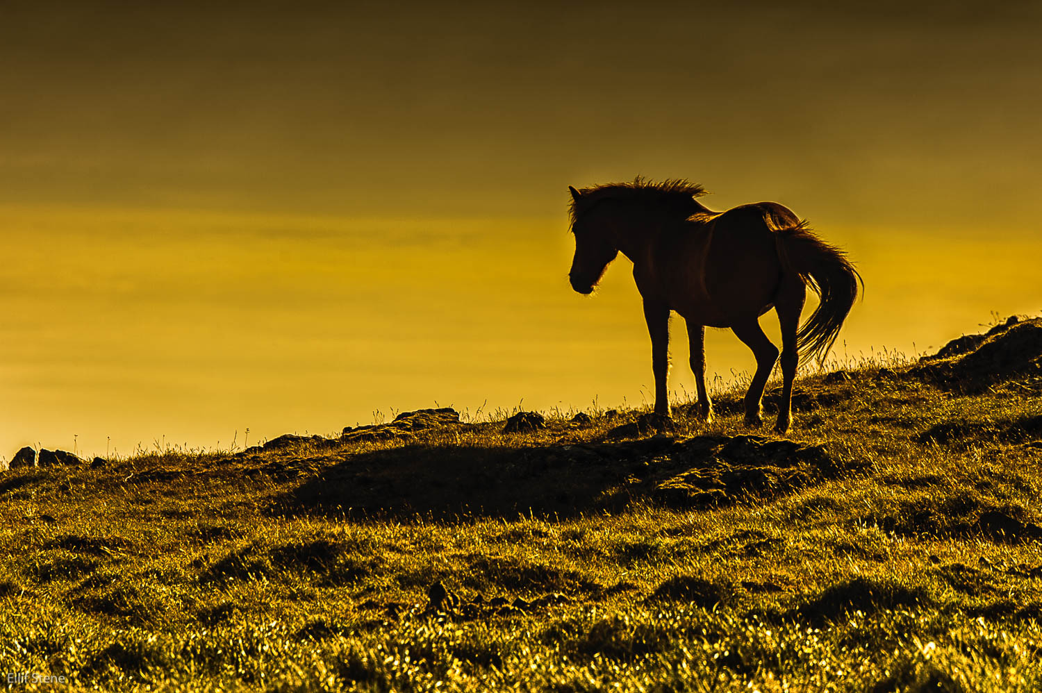 _SEA5209-Edit.jpg