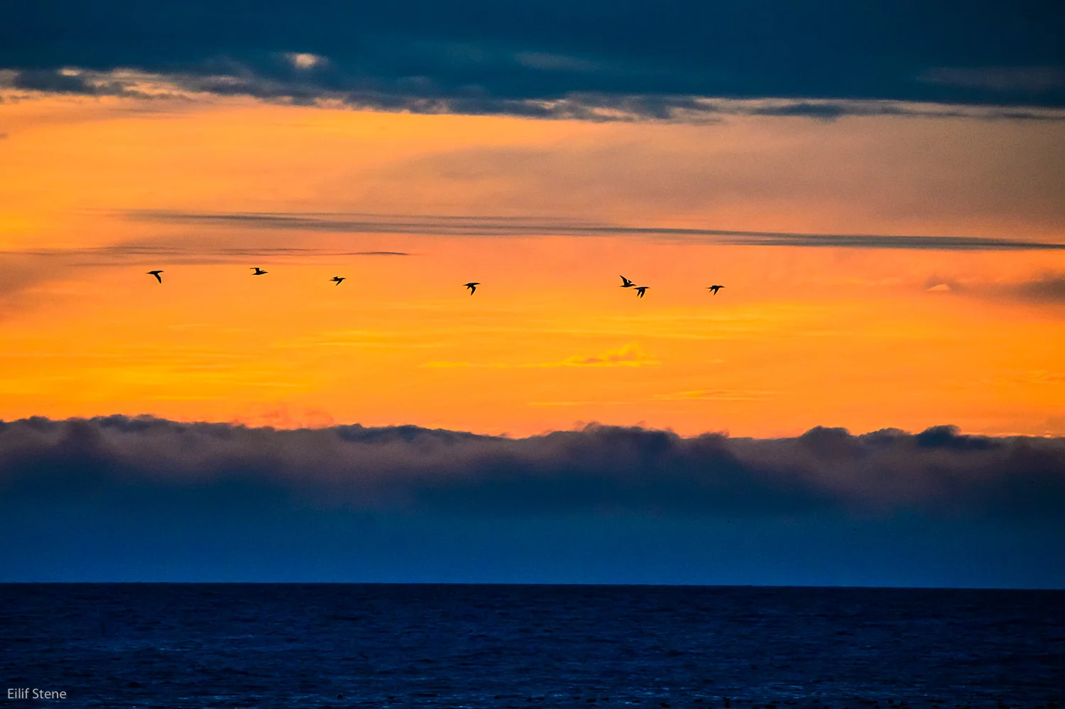 _SEA6767.jpg