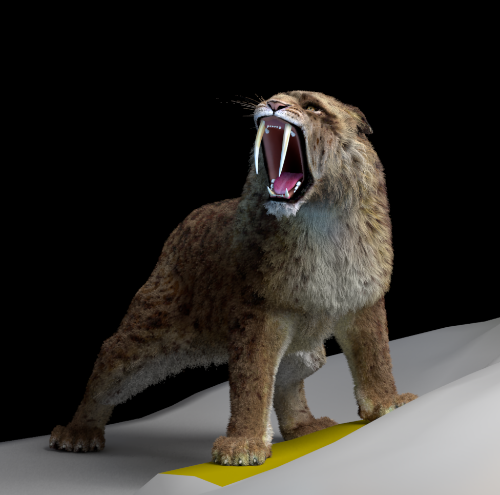 Mirum_Tiger6.png