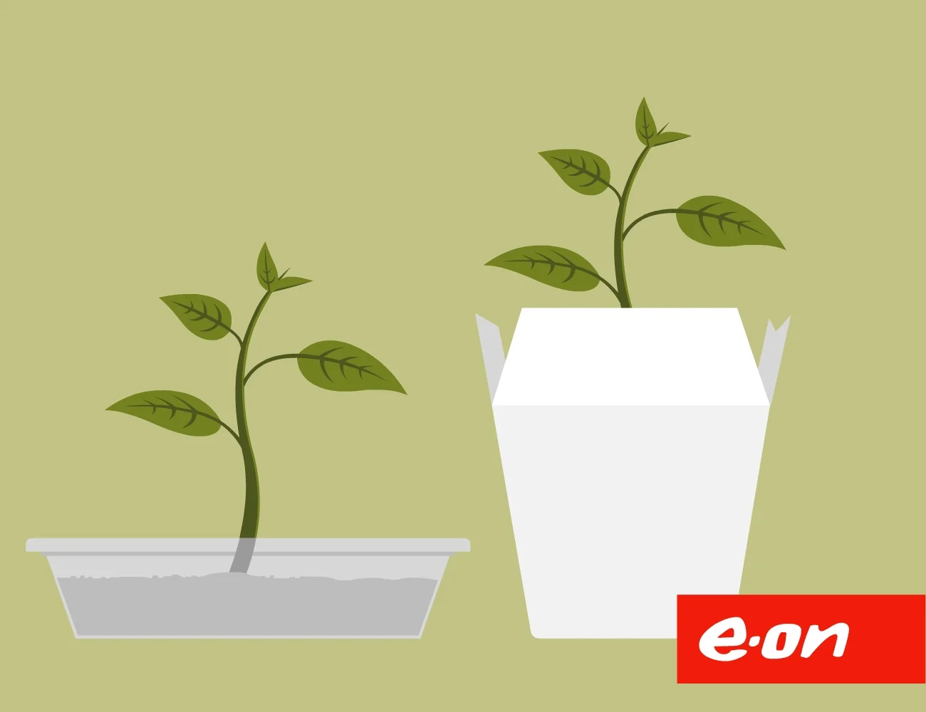 plant.jpg