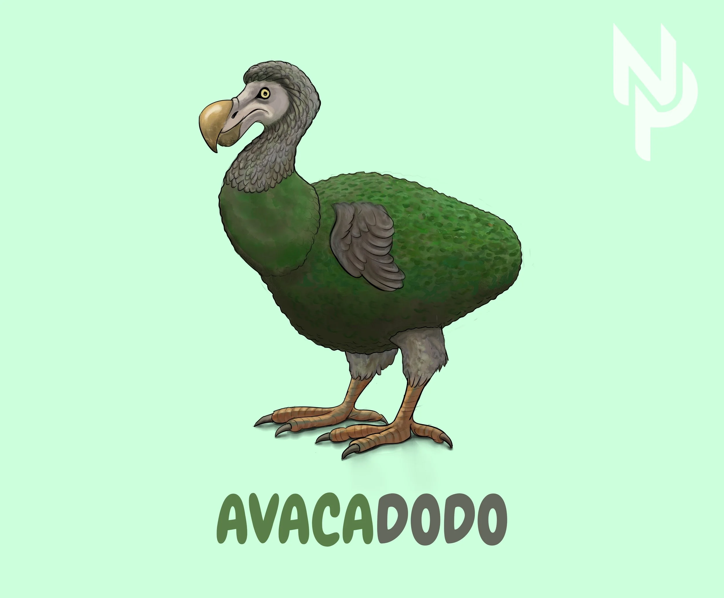 avacadodo.jpg