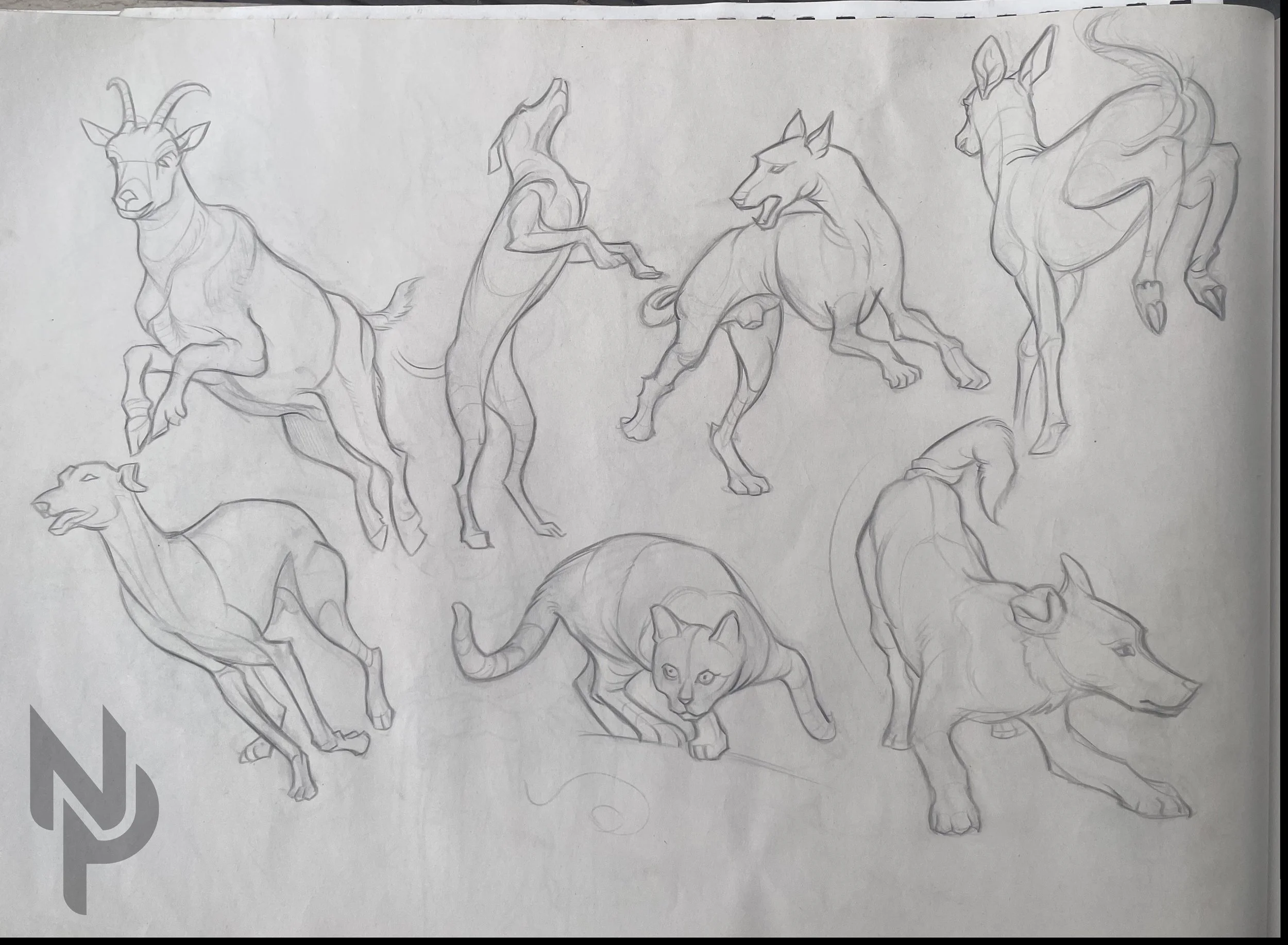 gesture-animals-1.jpg