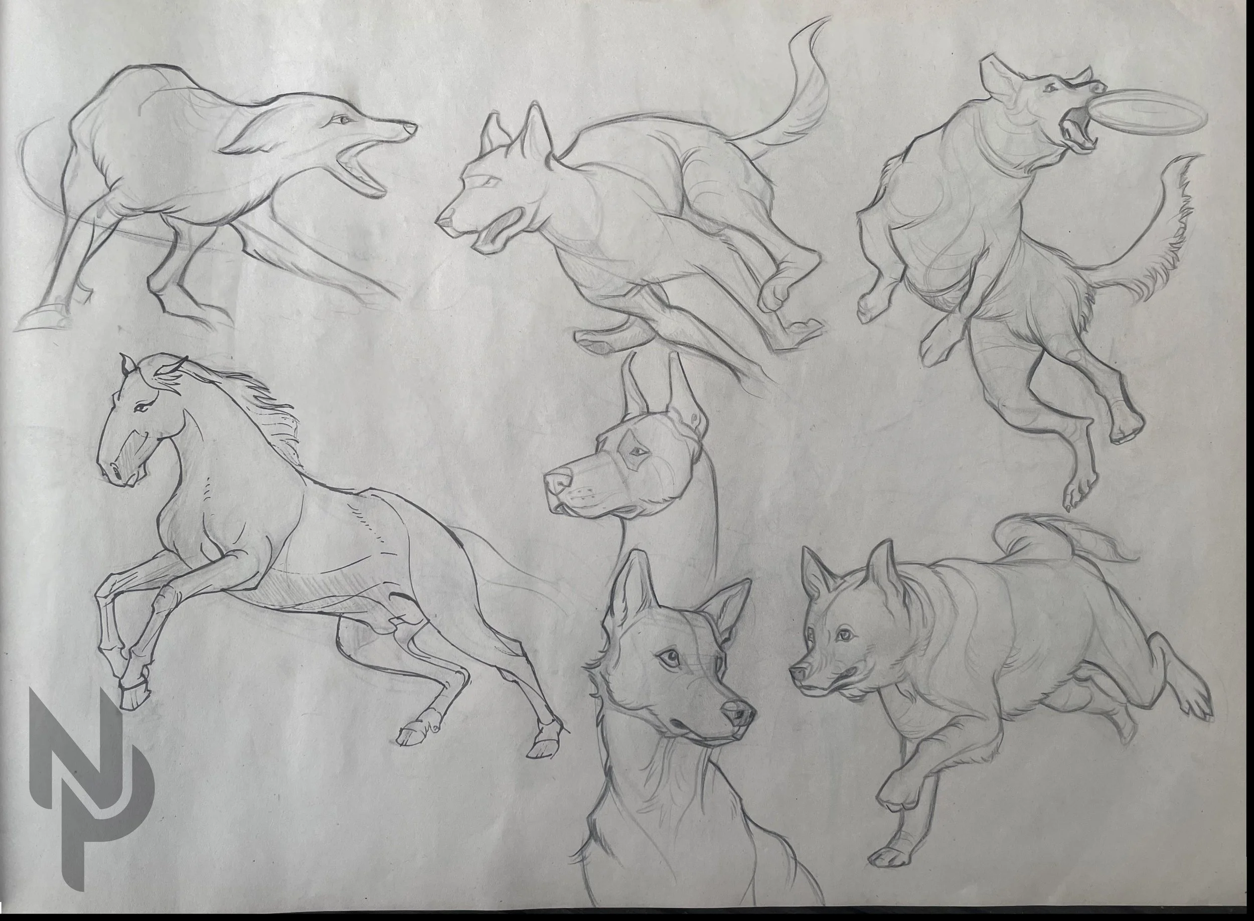 gesture-animals-3.jpg