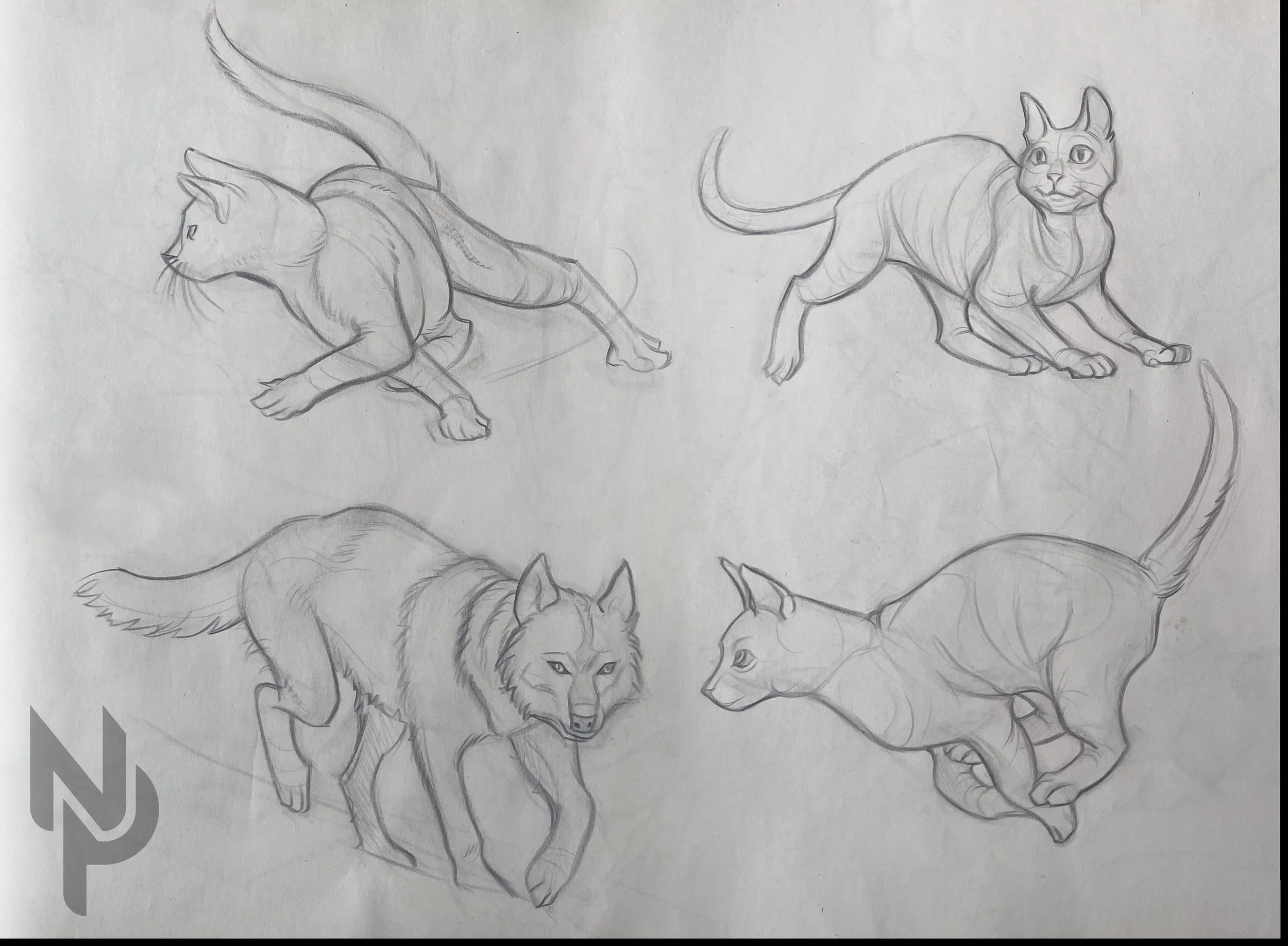 gesture-animals-2.jpg