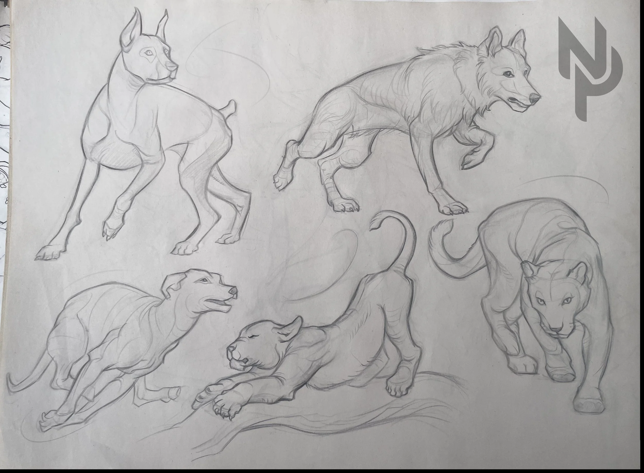 gesture-animals-4.jpg