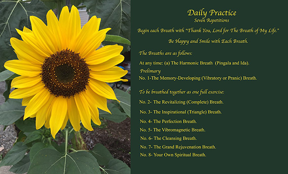 Daily Practice Poster
