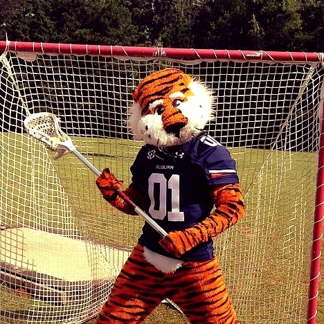 Gameday Events and Activities