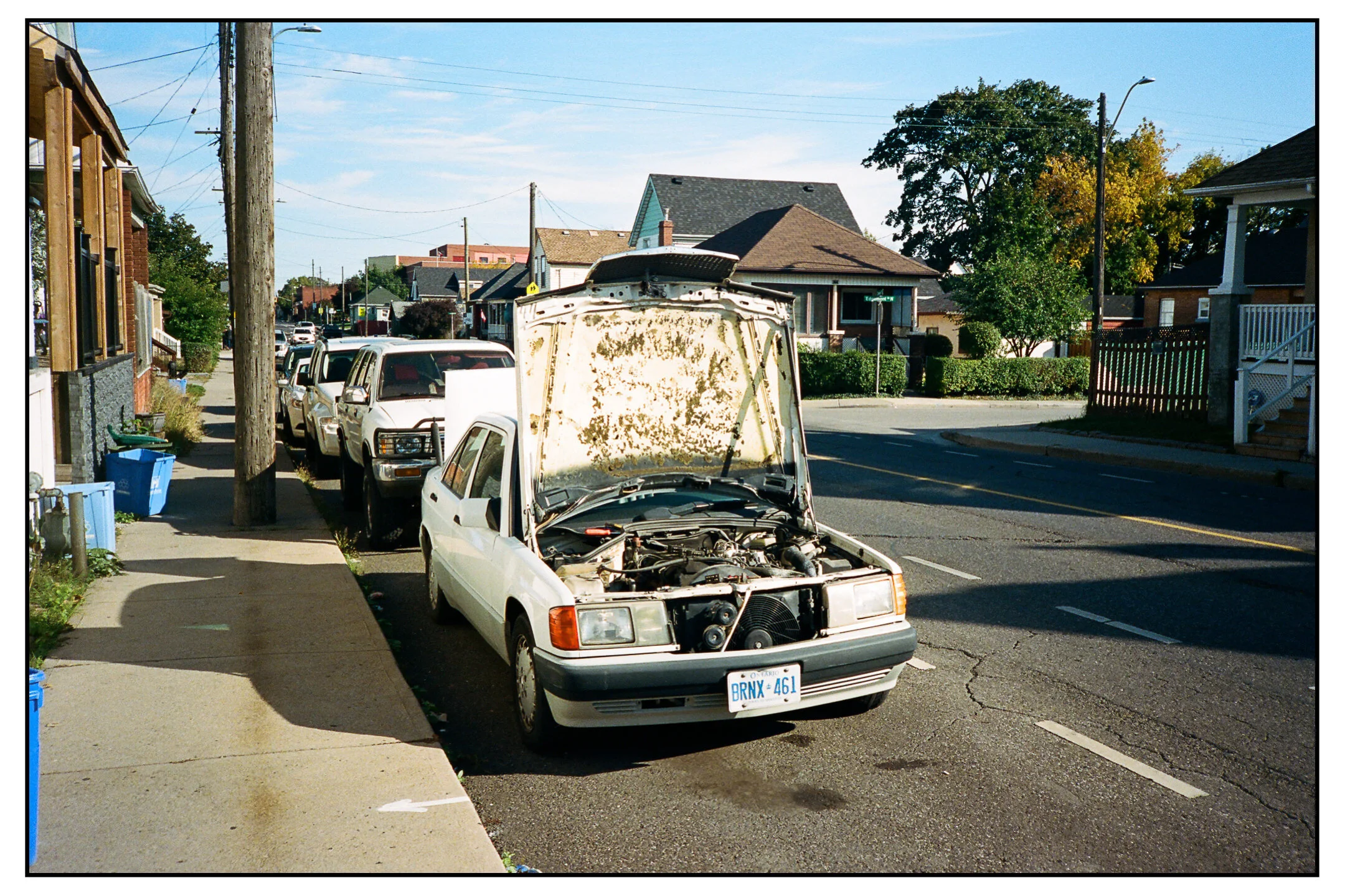 Nikon L35AF Review — CALLUM PINKNEY