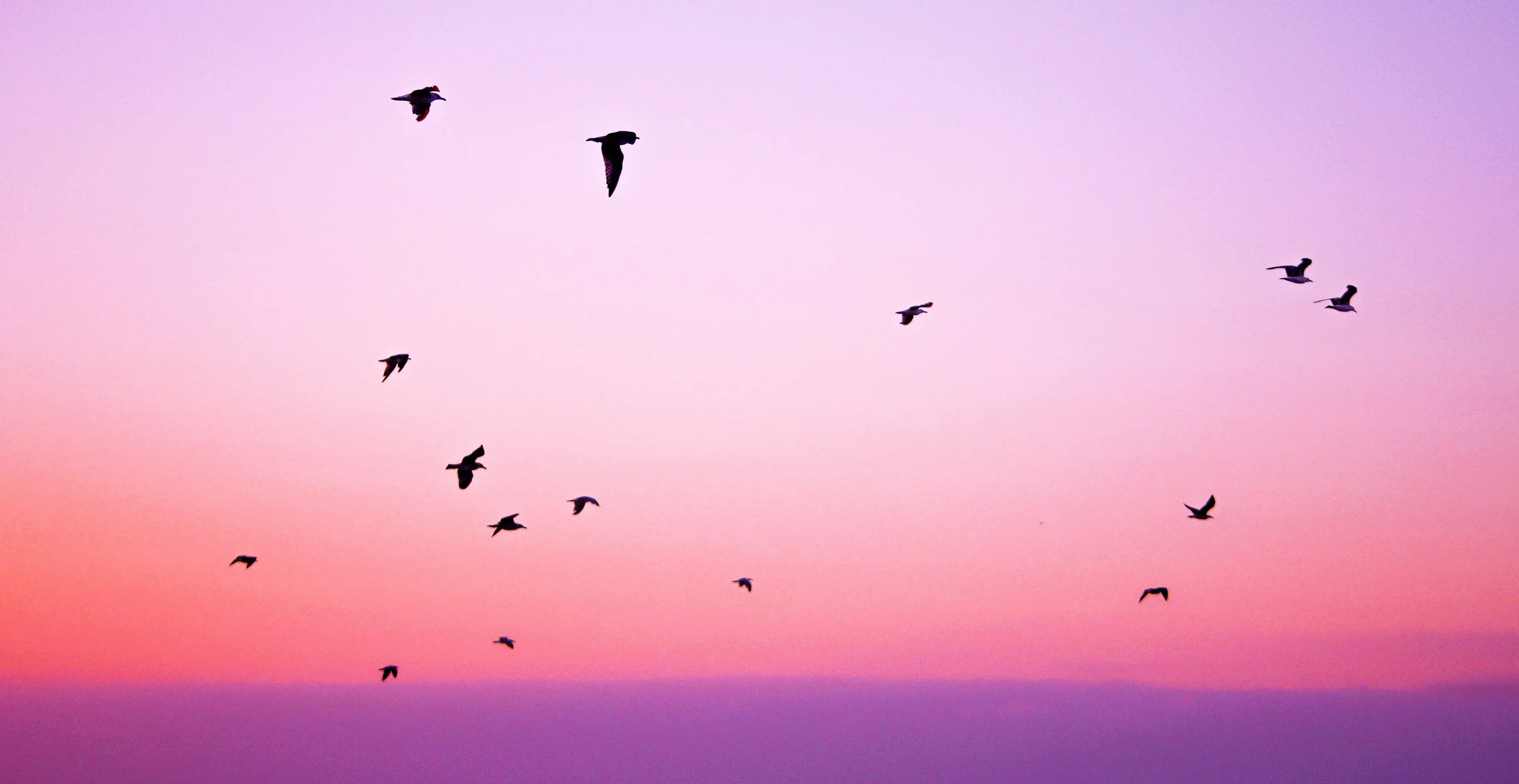 pexels-photo-3.jpg