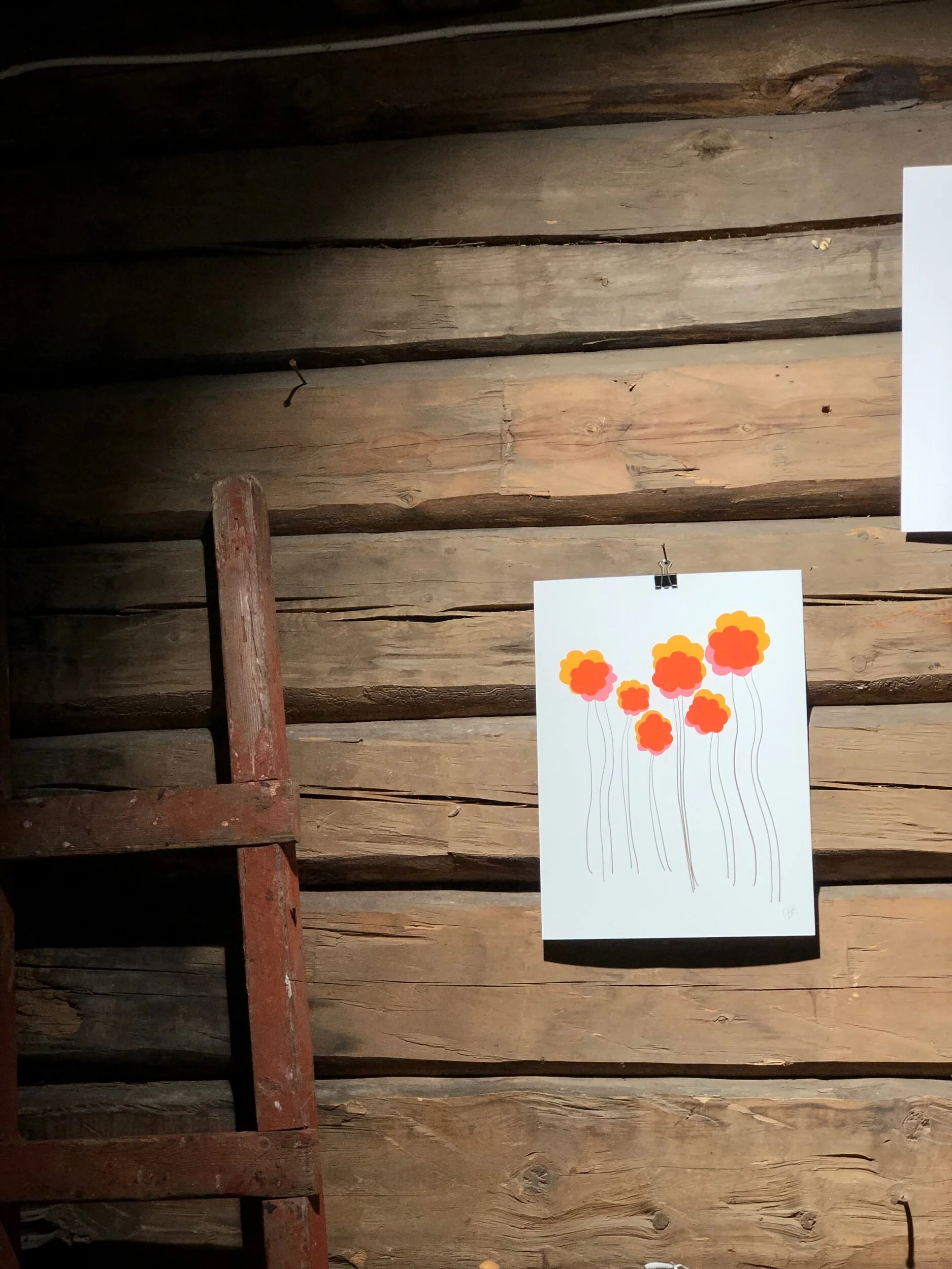 6411FF33-2FBE-4F2E-8028-F98AD82C5BAA