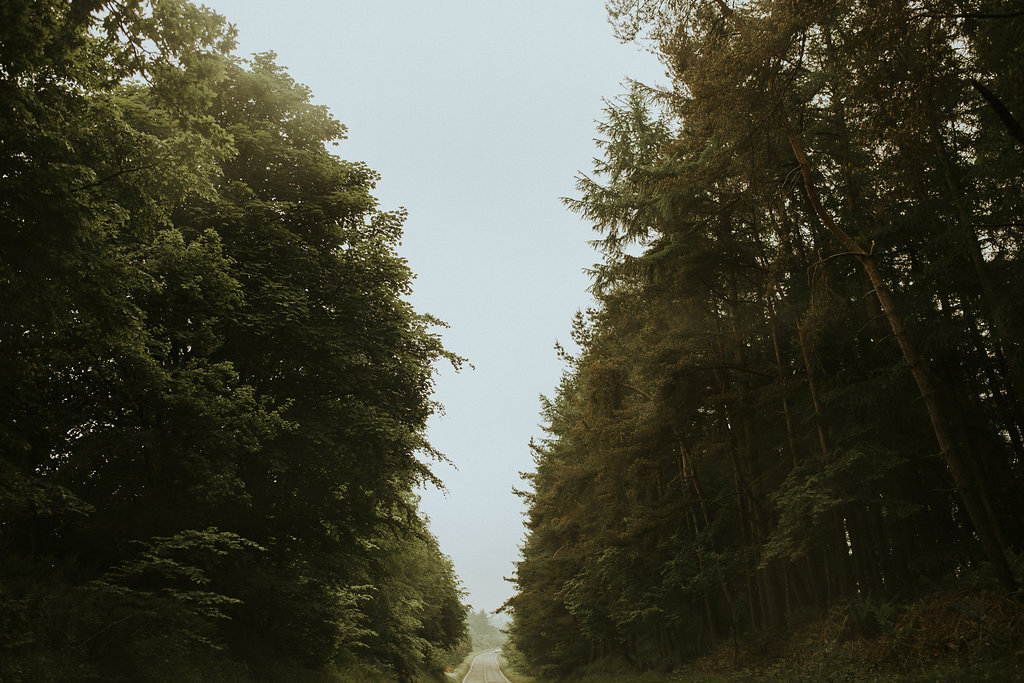 0001.jpg