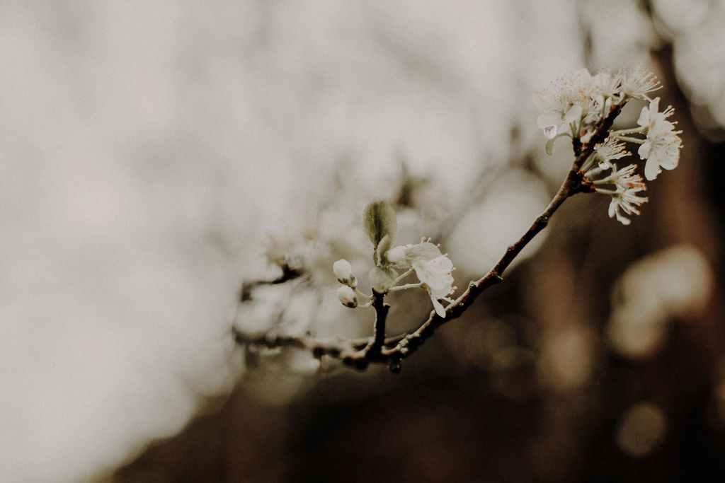 Fairy tale spring wedding Scotland