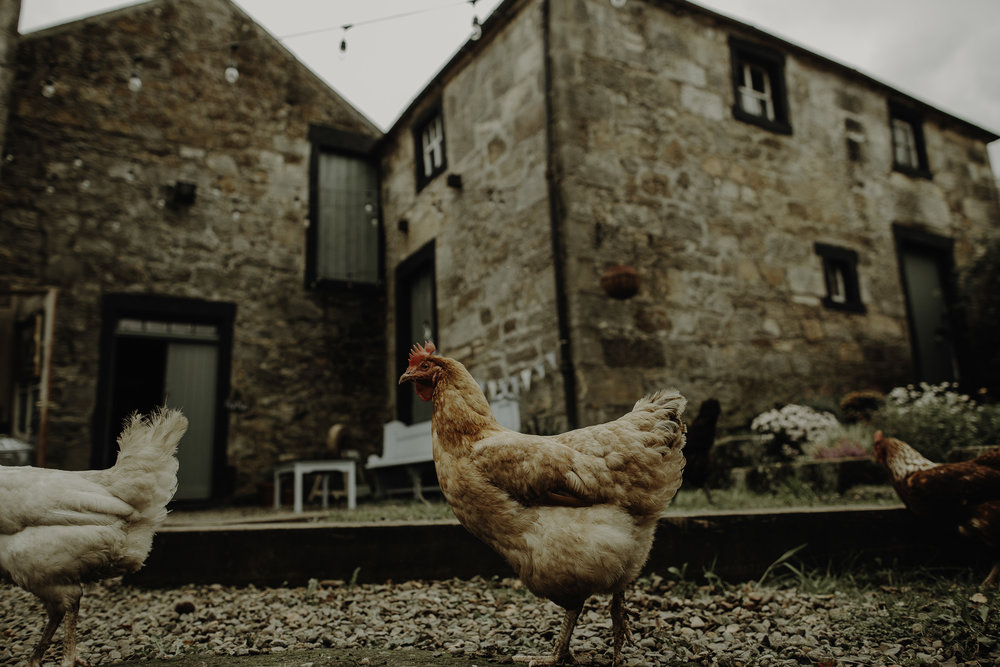  boho wedding Scotland barn rustic venue near Glasgow 