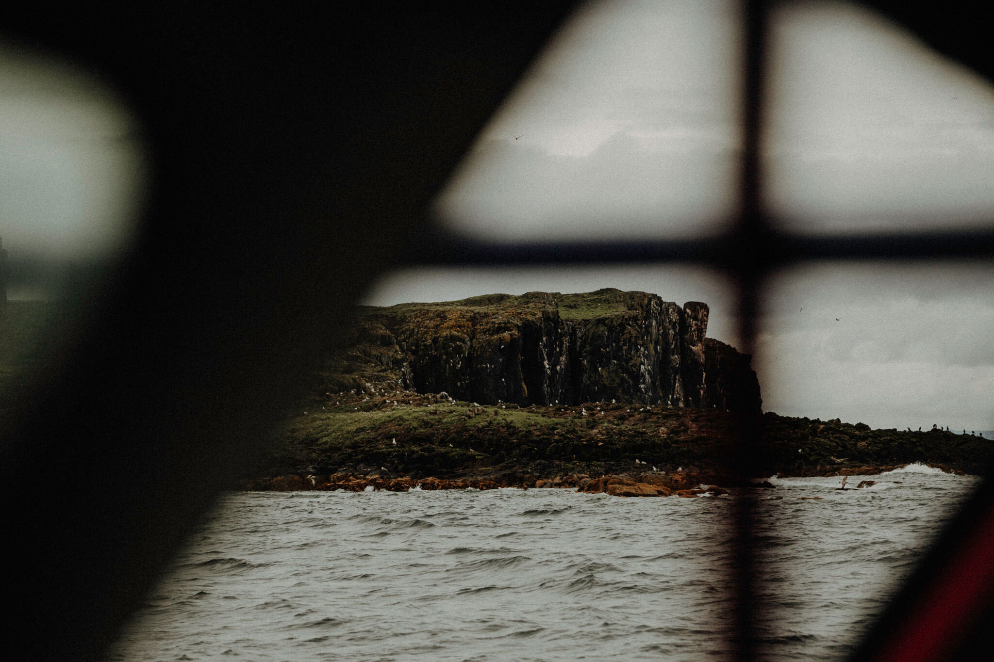 May Princess photo blog couple puffins Isle of May