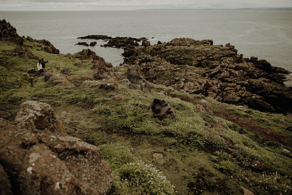  May Princess photo blog couple puffins Isle of May 