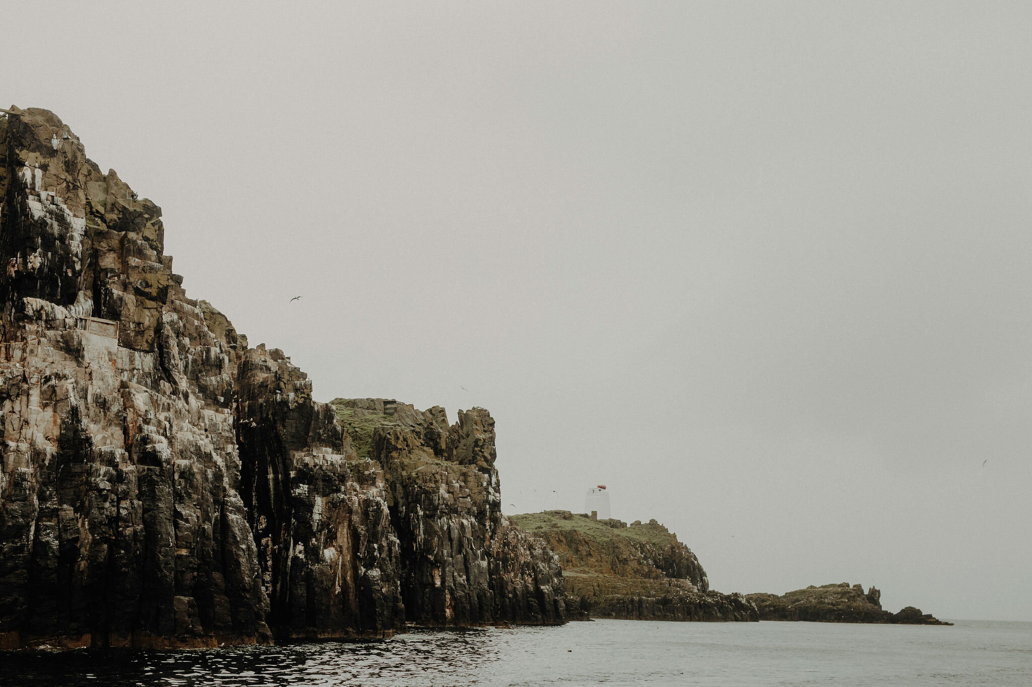 May Princess photo blog couple puffins Isle of May