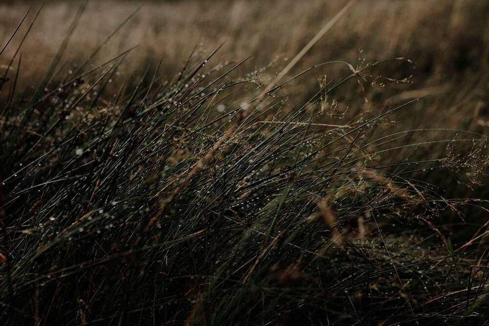  Engagement session couple in Scottish mountains rain and wind 