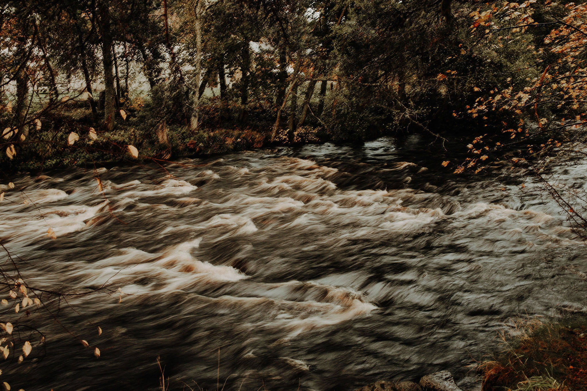  Aviemore wedding photographer blog photos  