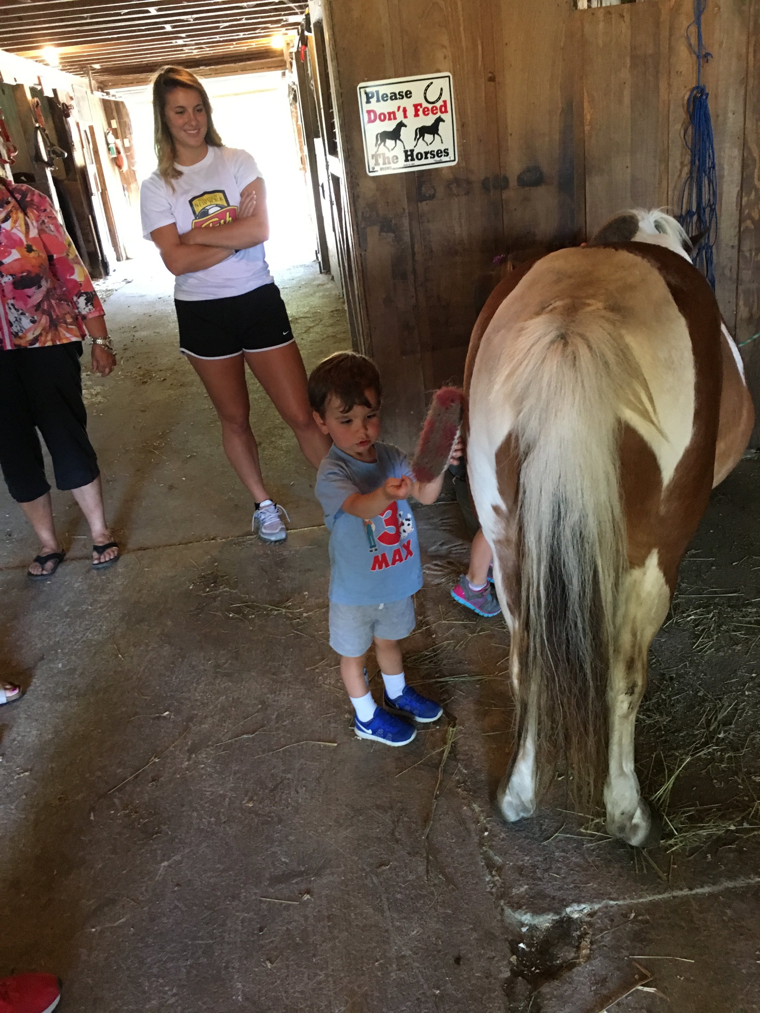  Looking after the ponies!