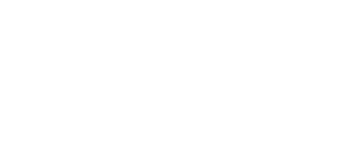 msn_logo.png