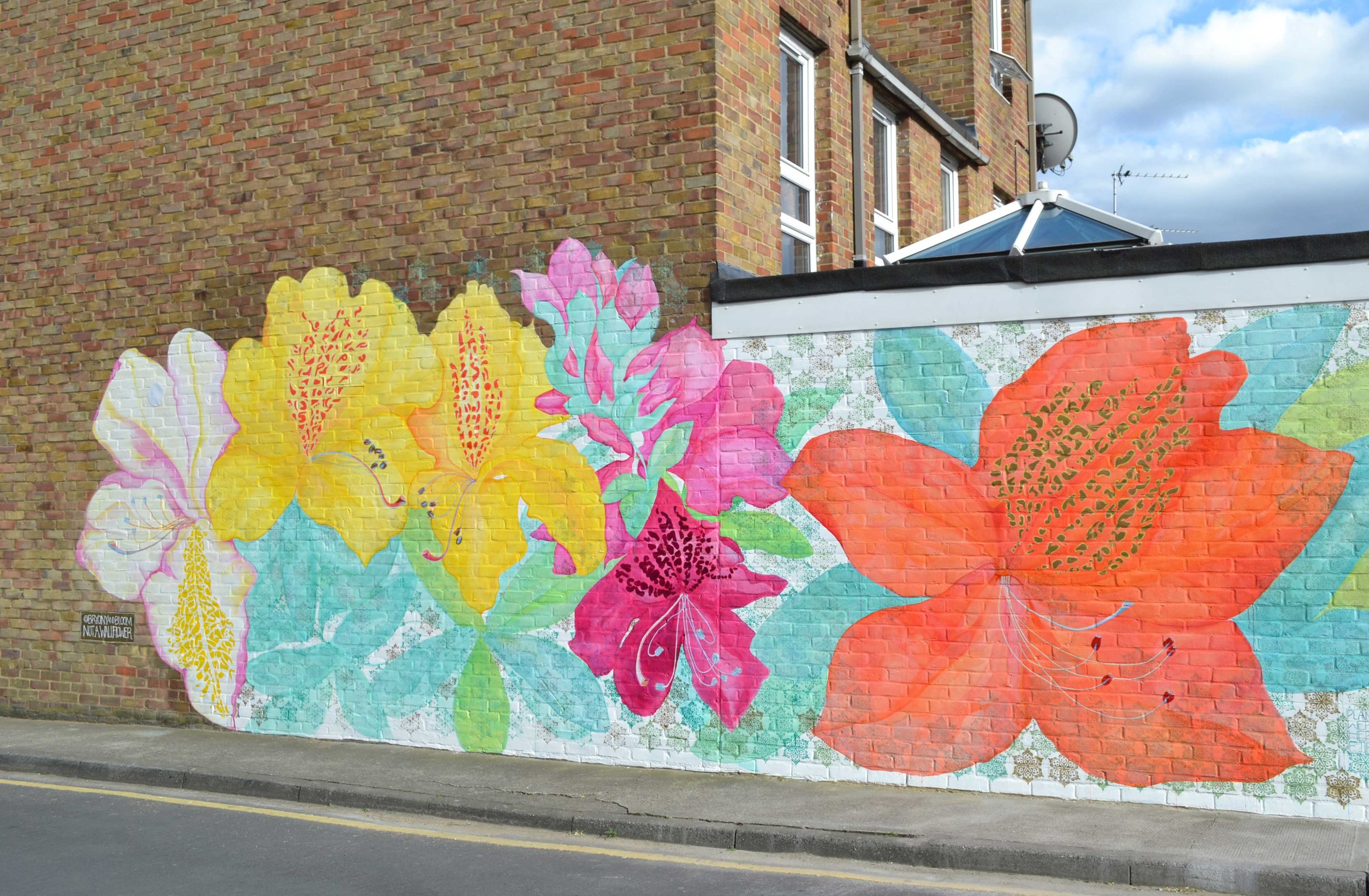 Not-a-wallflower_full_2_for-web.jpg