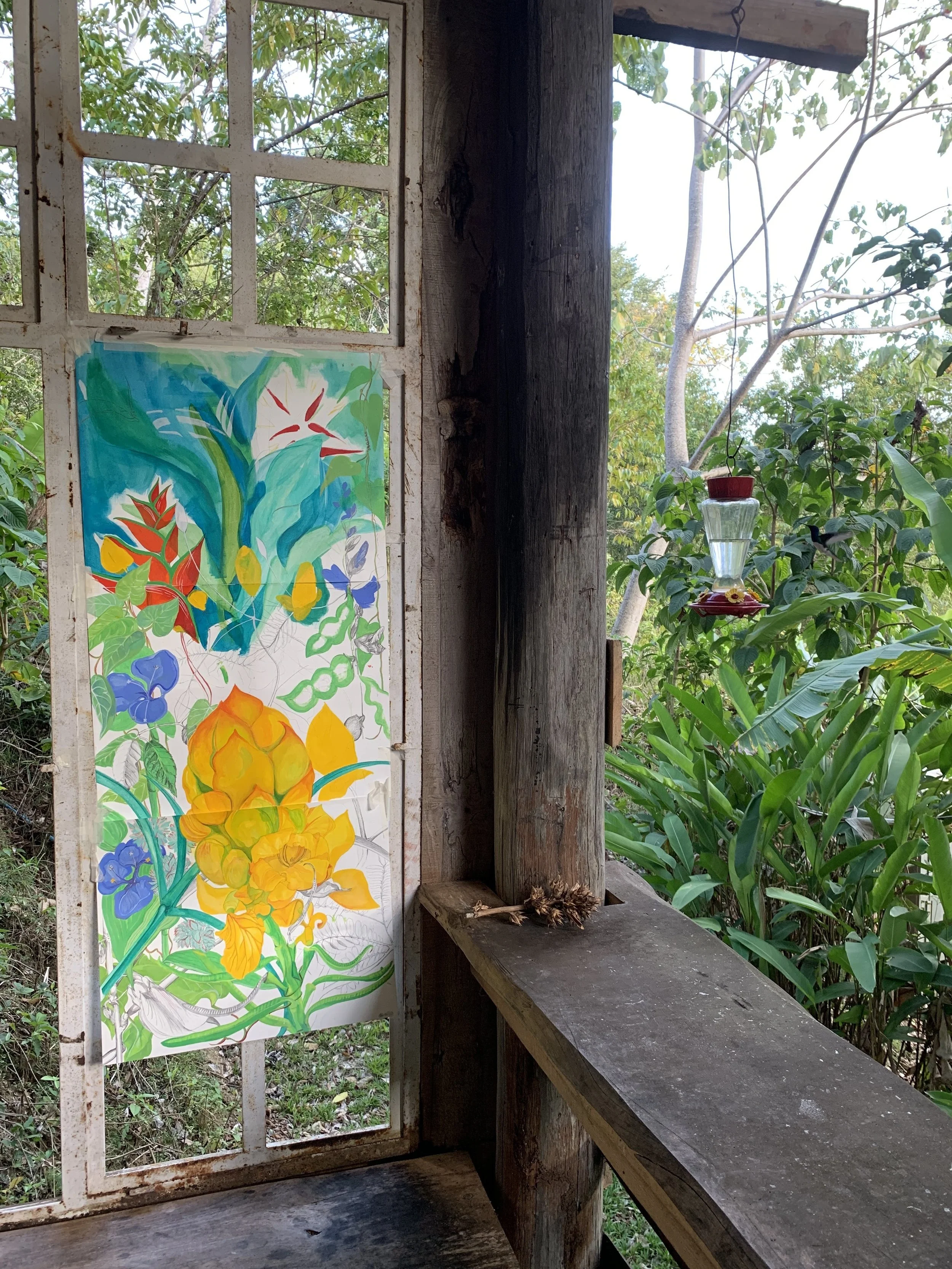 An unfinished three-part ‘paint sketch’ of butterfly-attracting plants around the pond