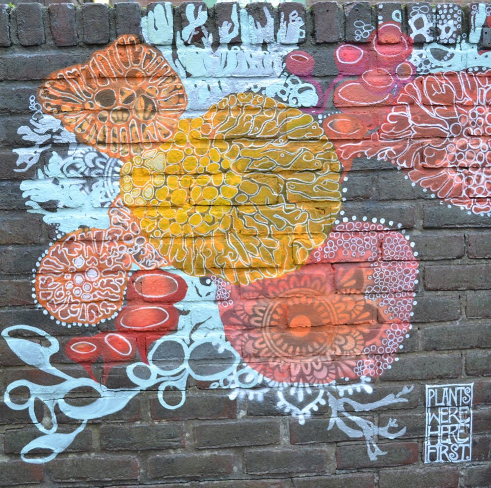 Mural_5_web.jpg