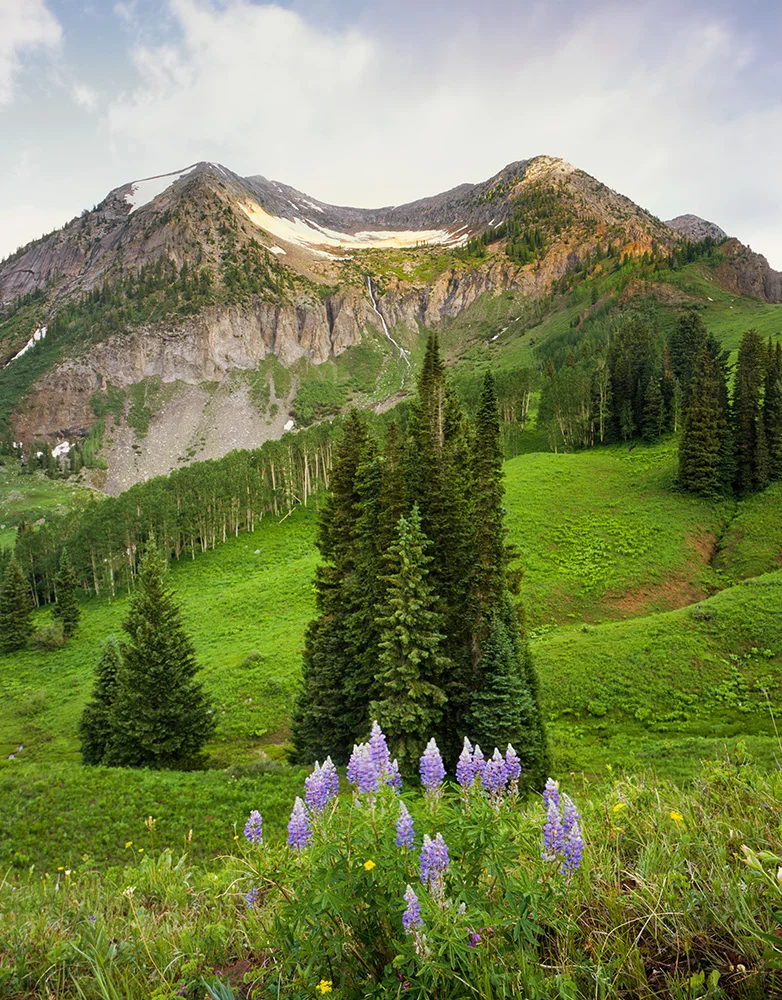 Beckwith Mountain Sunrise