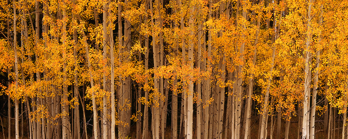 Flat Tops Aspen