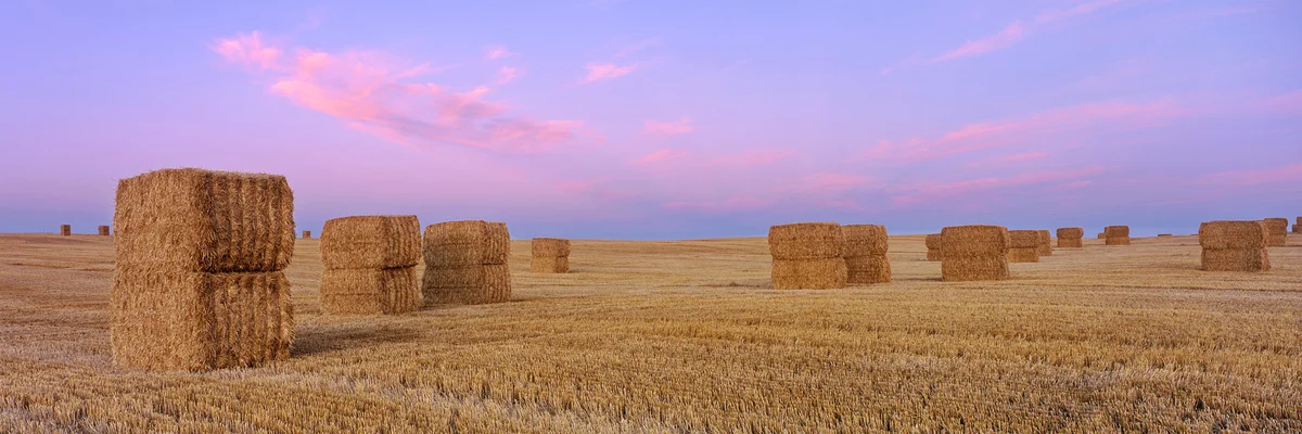Stacked Bales at Sunrise