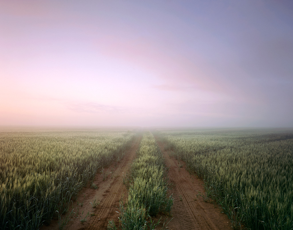 Service Road in the Fog