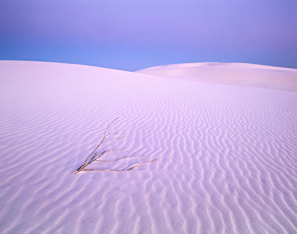 Twilight Sands and Shrub