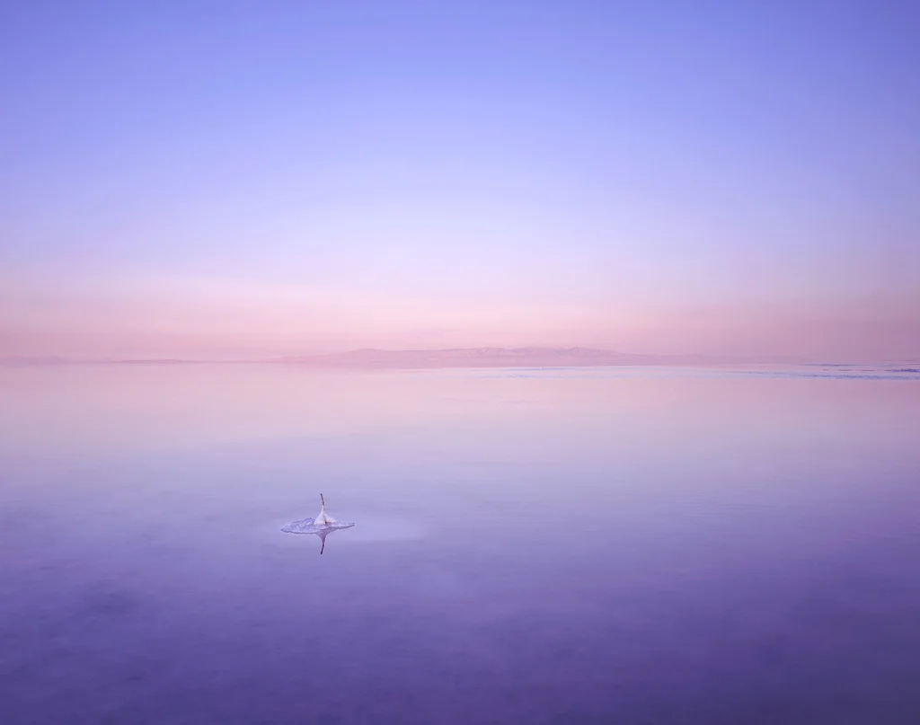 Salt III