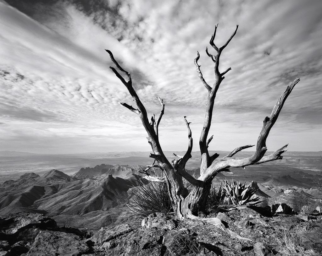 Skyward Reach