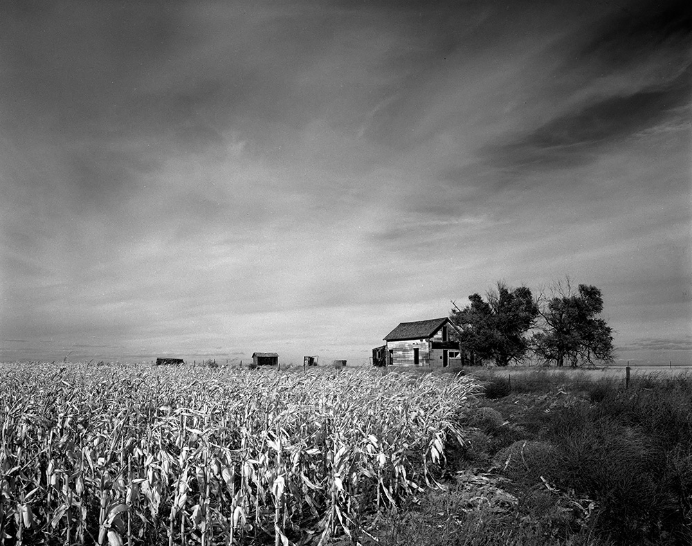 Farmhouse, Corn, Sky