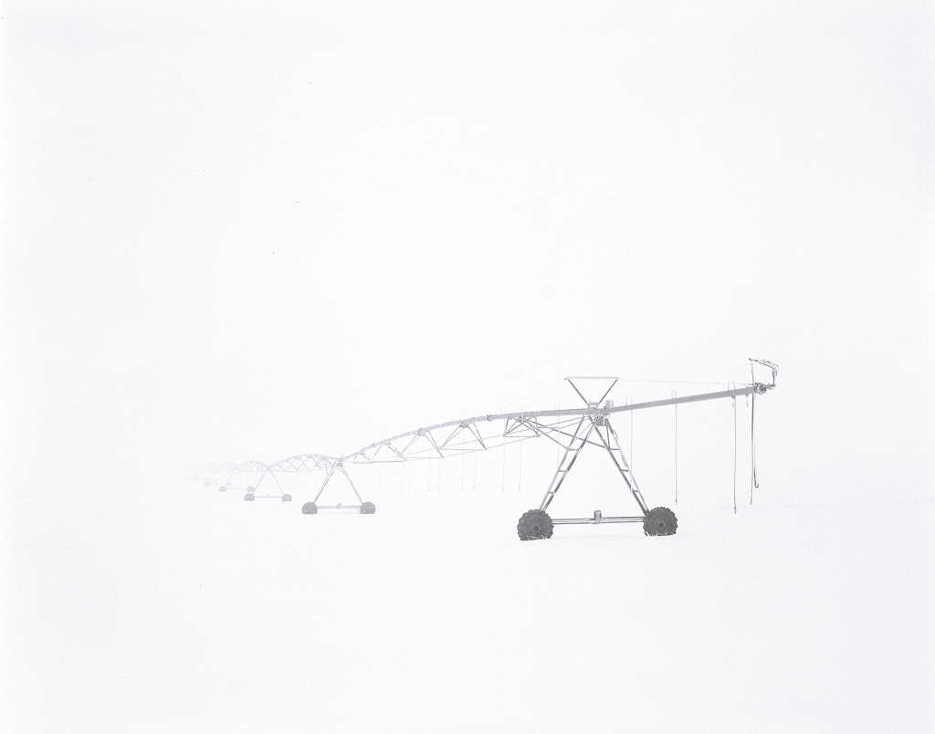 Pivot in the Fog