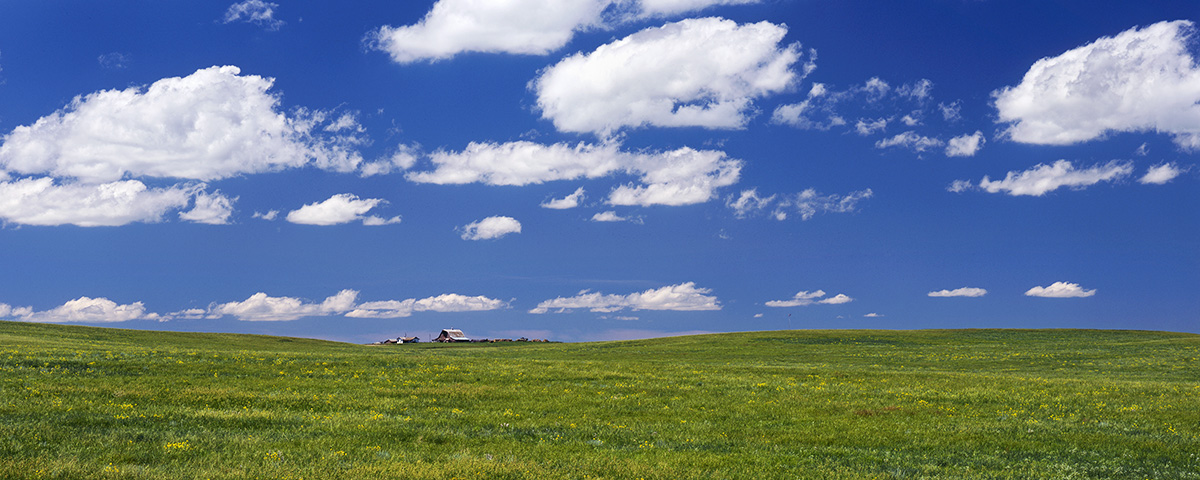 Prairie Skies