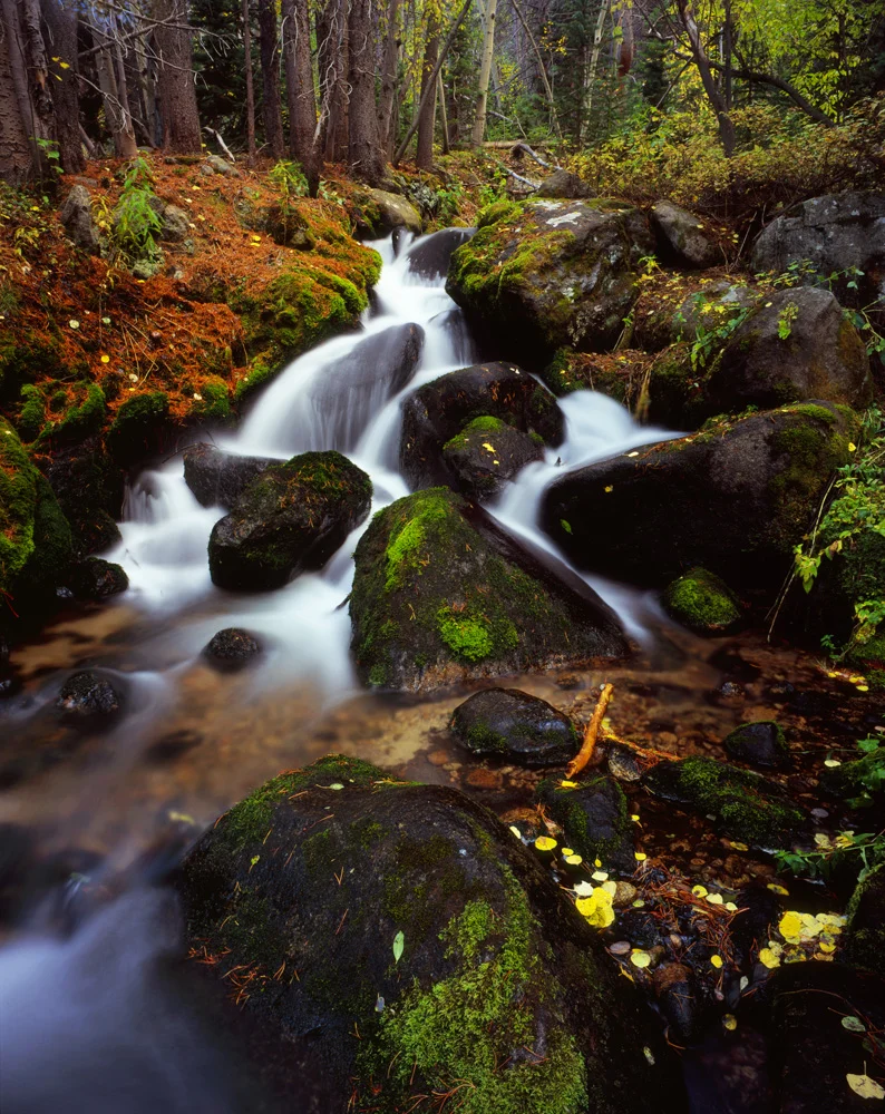 Boulder Brook