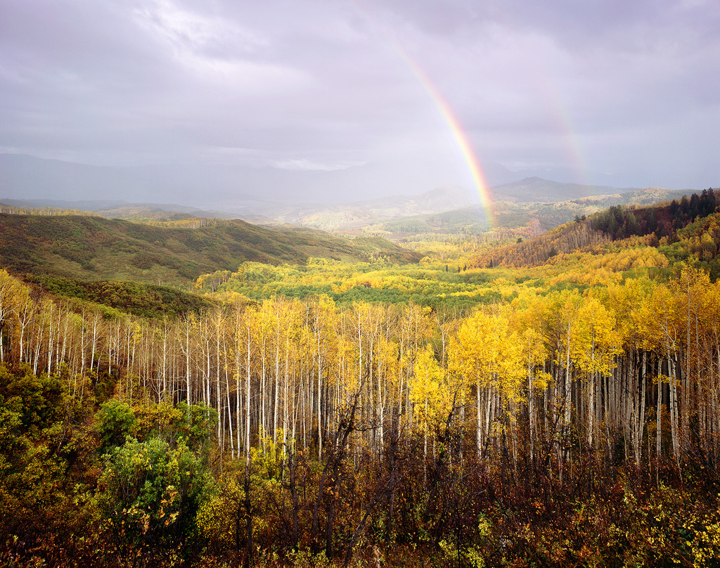 Rainbow Over the Aspen