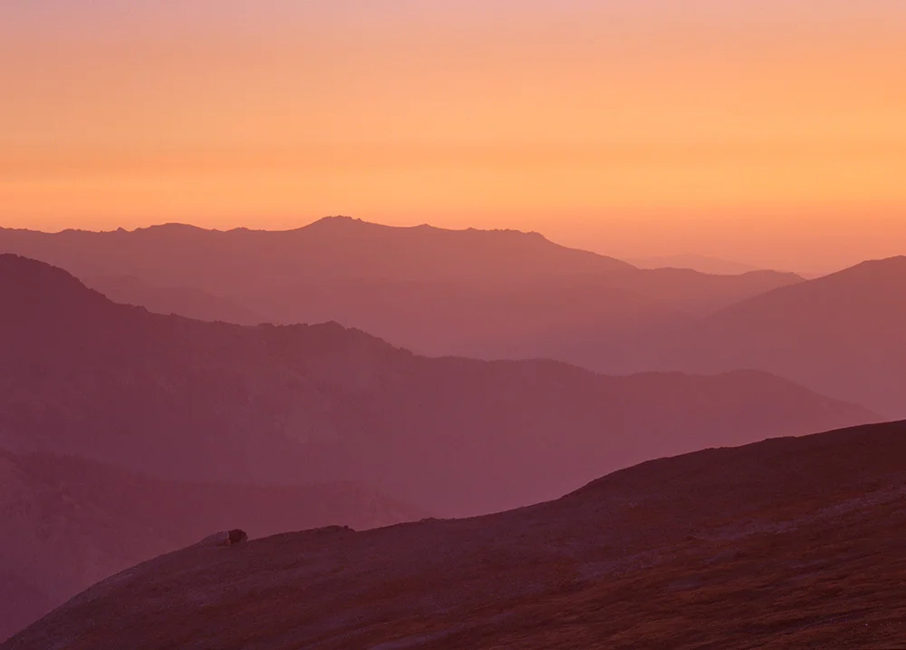 Trail Ridge Layers