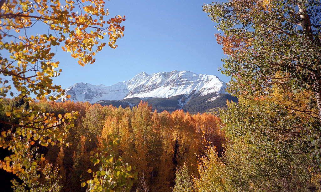 Wilson Peak with Aspen