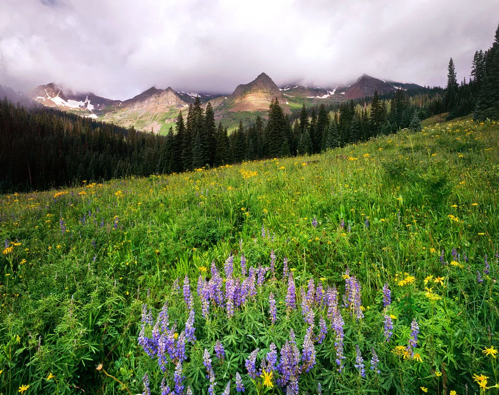 “Oh-Be-Joyful Valley” – Lupine in bloom below the magical peaks of this amazing remote valley. Prints available.