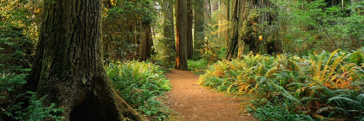 Go hike that trail!