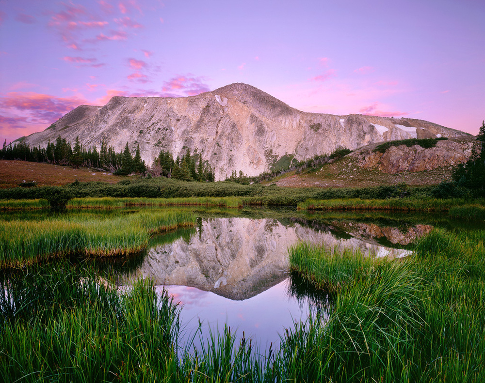 Erkende Selv tak skillevæg Connecting With Nature Through Landscape Photography — Alex Burke  Photography